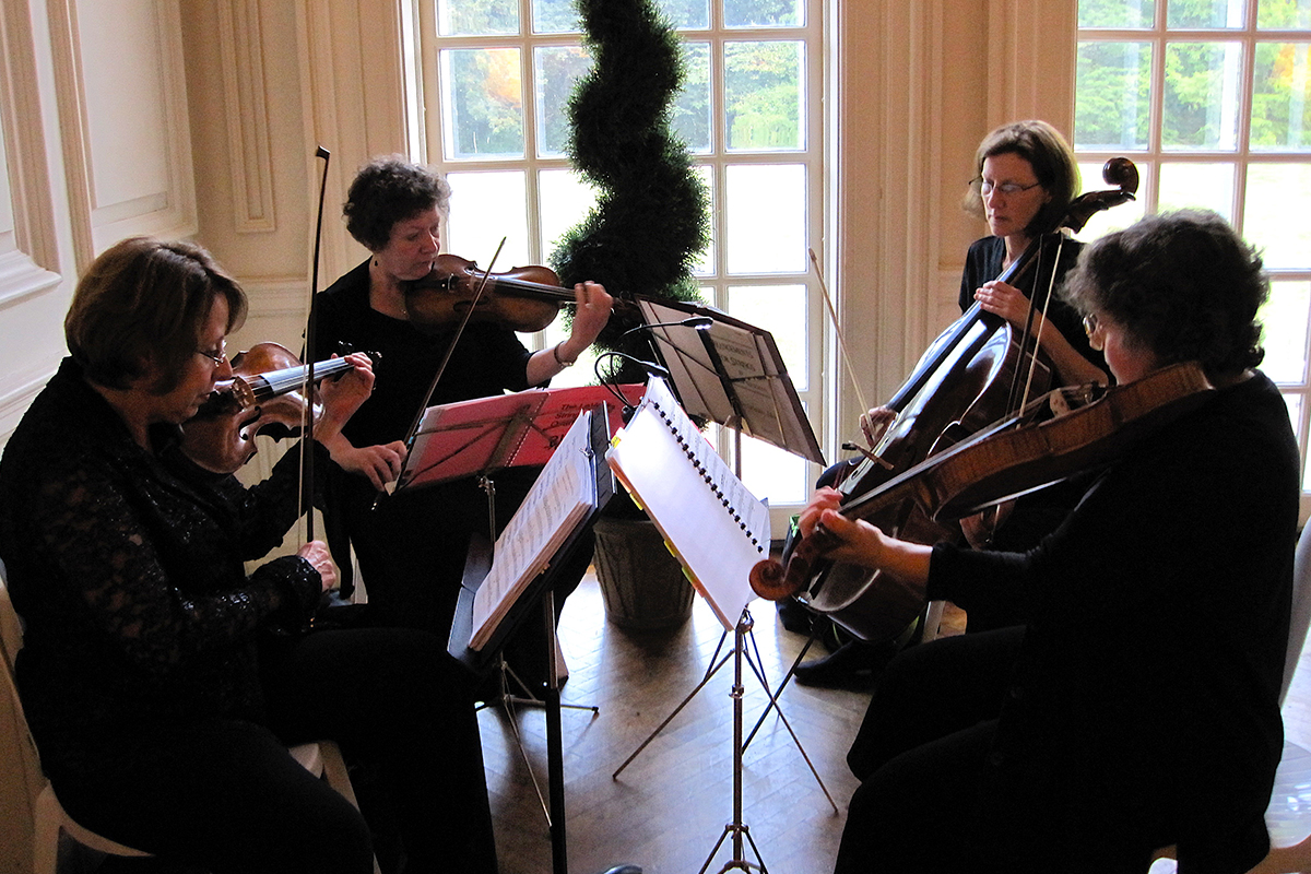 members of Downstate Strings playing their instruments